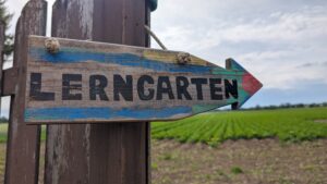 Mehr über den Artikel erfahren Natur und Technik im Lerngarten