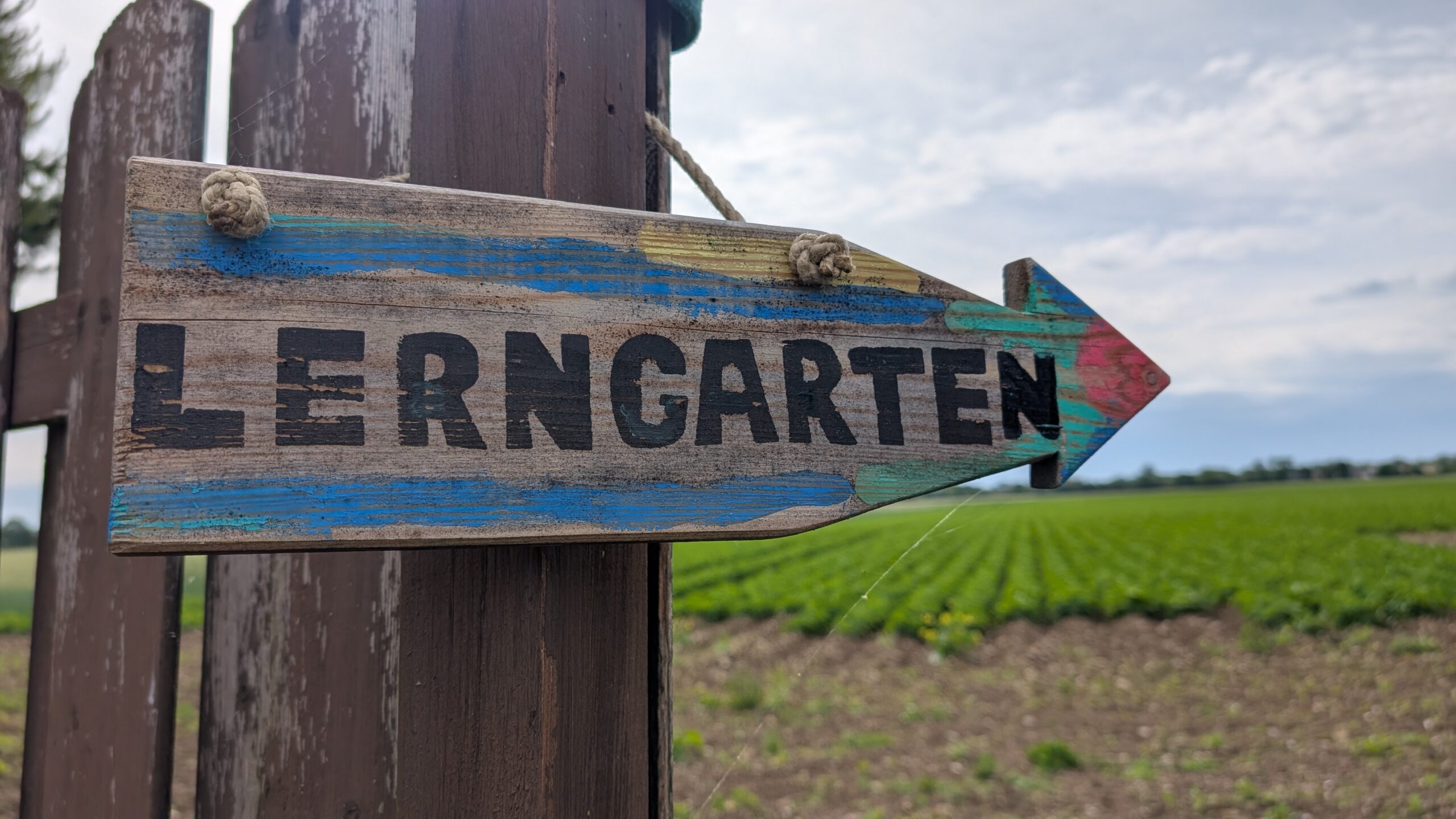 Mehr über den Artikel erfahren Natur und Technik im Lerngarten